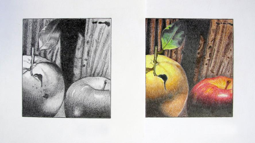 Ripetizioni - lezioni private di disegno a matite e matite colorate a Bologna. Paese dei Balocchi. Preparazione all'esame di ammissione al Liceo Artistico. Recupero anni scolastici . Tecnica del chiaroscuro riproduzione di frutta in bianco e nero e a colori.